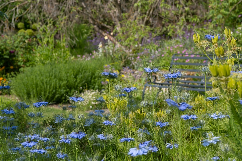 Goodnestone Park Gardens